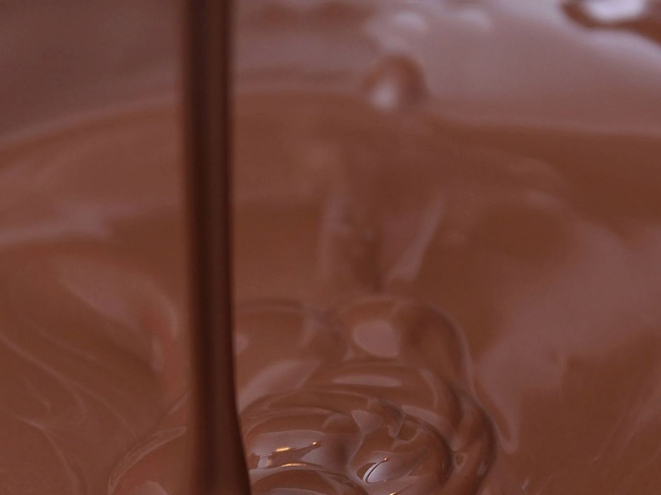 Postres de chocolate amargo