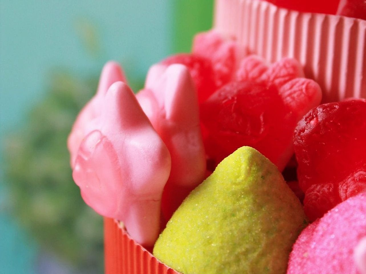 Dulces de chocolate belga
